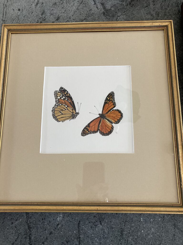 Framed butterfly print
